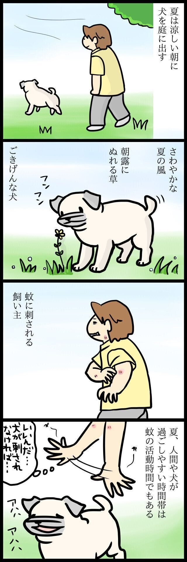 【連載】パグ犬・めー