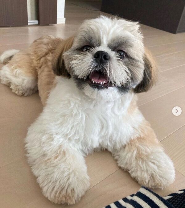 笑顔が可愛いほっぷくん