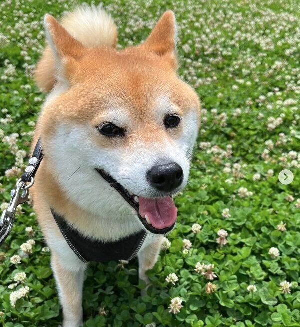 笑顔が可愛い文太くん