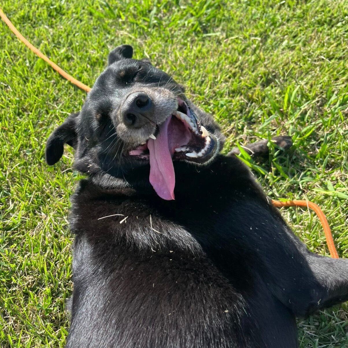 楽しそうなはなちゃん