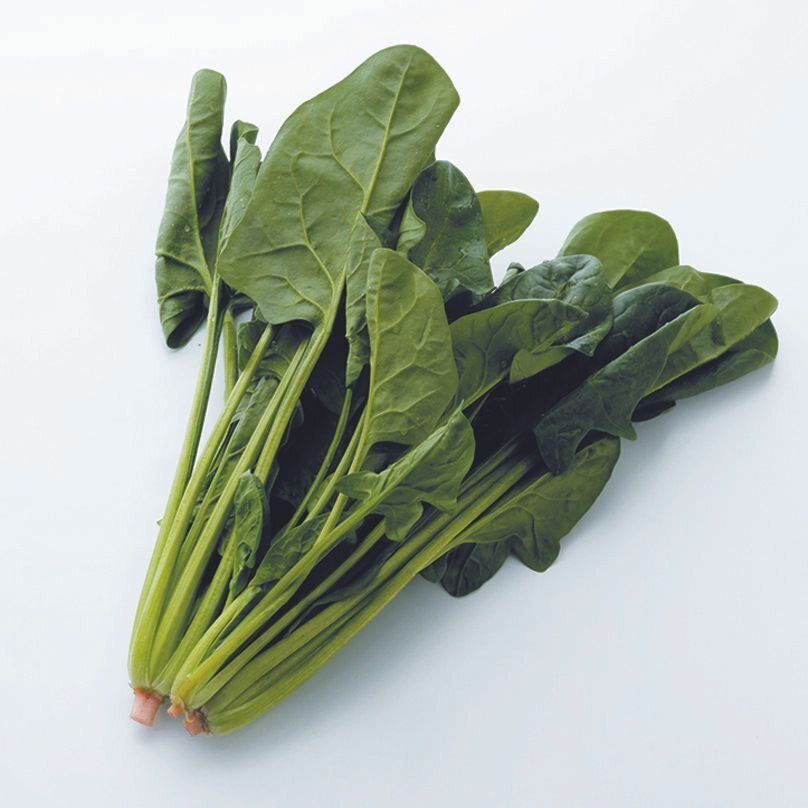 ほかの野菜と比べると、生のほうれん草にはシュウ酸が圧倒的に多く含まれています。与えるなら必ず加熱処理を