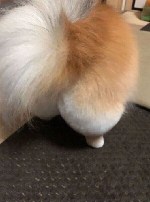 桃のようなお尻が魅力ないぶきちゃん