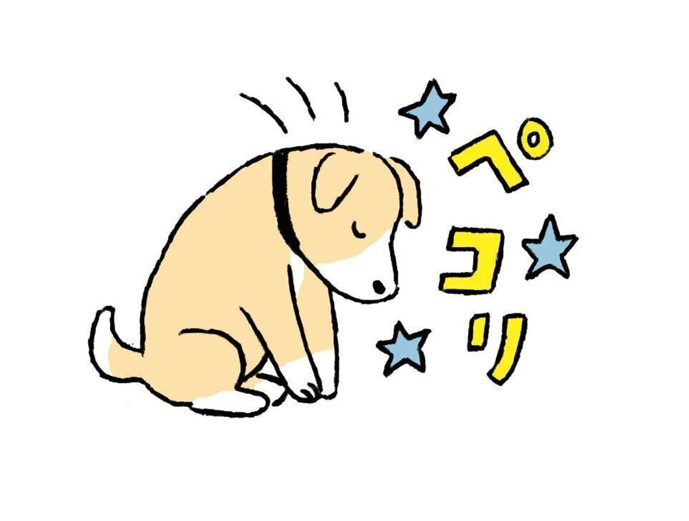 噛んだら罰としてハウスに入れるのはng よく聞くあのウワサの真偽を プロに聞いてみました いぬのきもちweb Magazine