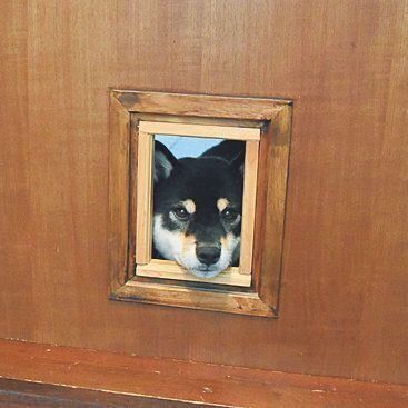 この先には行けない……