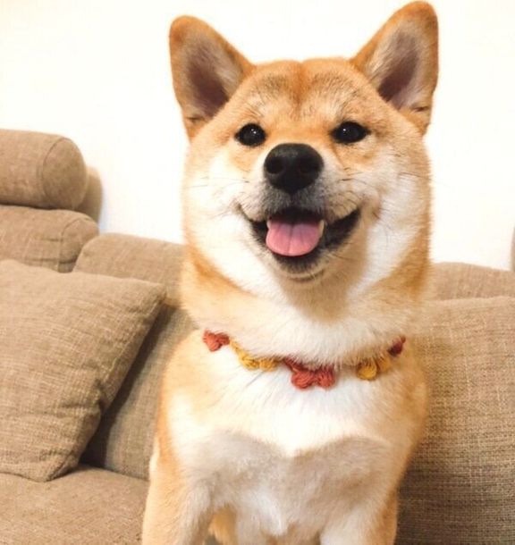 優しい笑顔を見せるタツノコ姫ちゃん