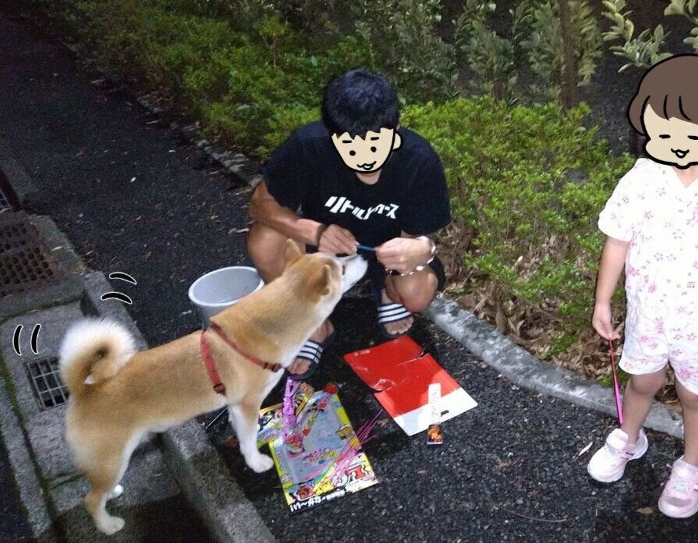 花火にはしゃぎすぎタロさんと大人しすぎ娘 連載 モフモフ柴とプニプニ娘 第132話 いぬのきもちweb Magazine 花火にはしゃぎすぎタロさんと大人しすぎ娘 連載 モフモフ柴とプニプニ娘 第132話 いぬのきもちweb Magazine