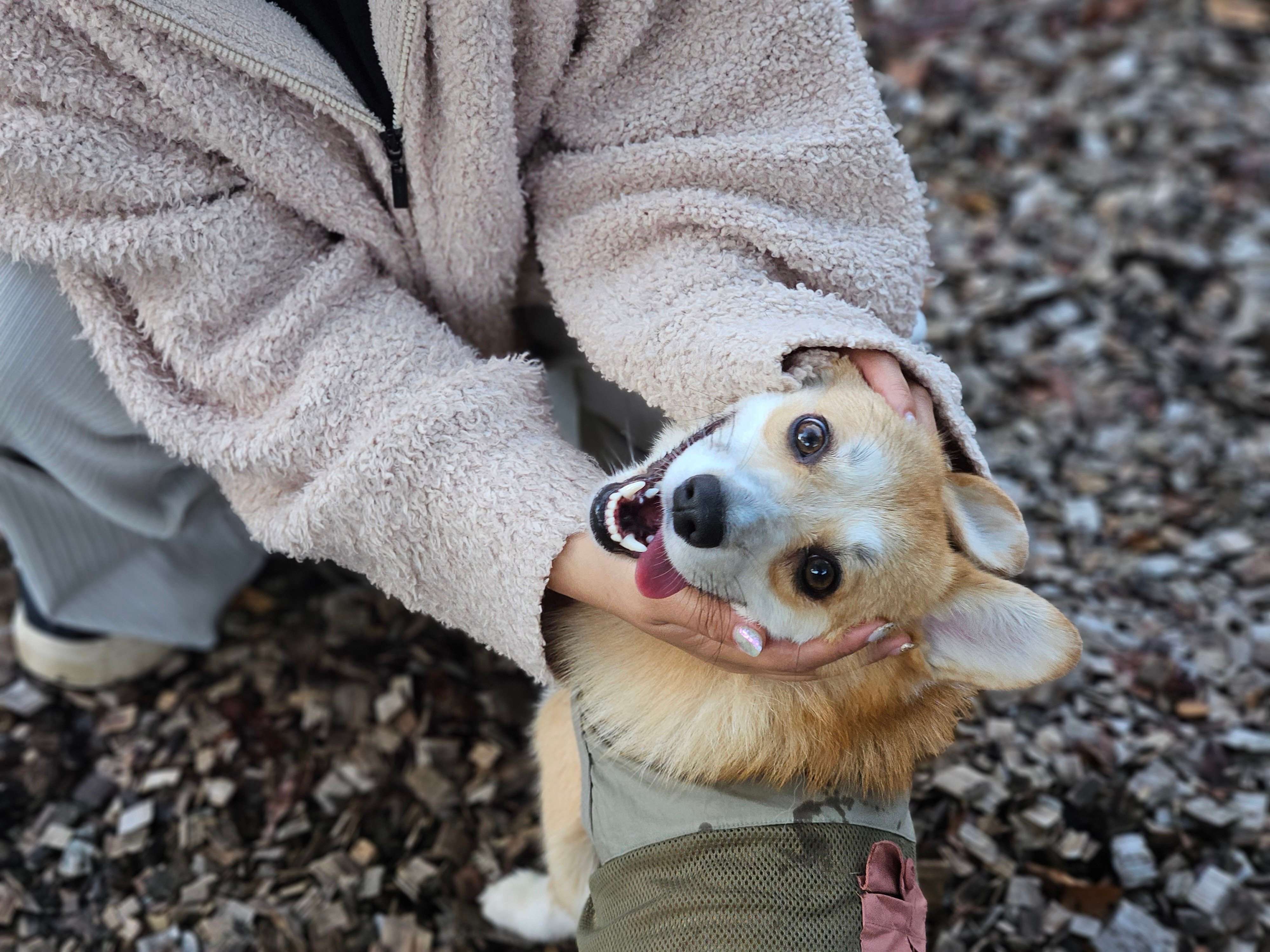 “にぱっ”と笑顔を見せるタビーくん