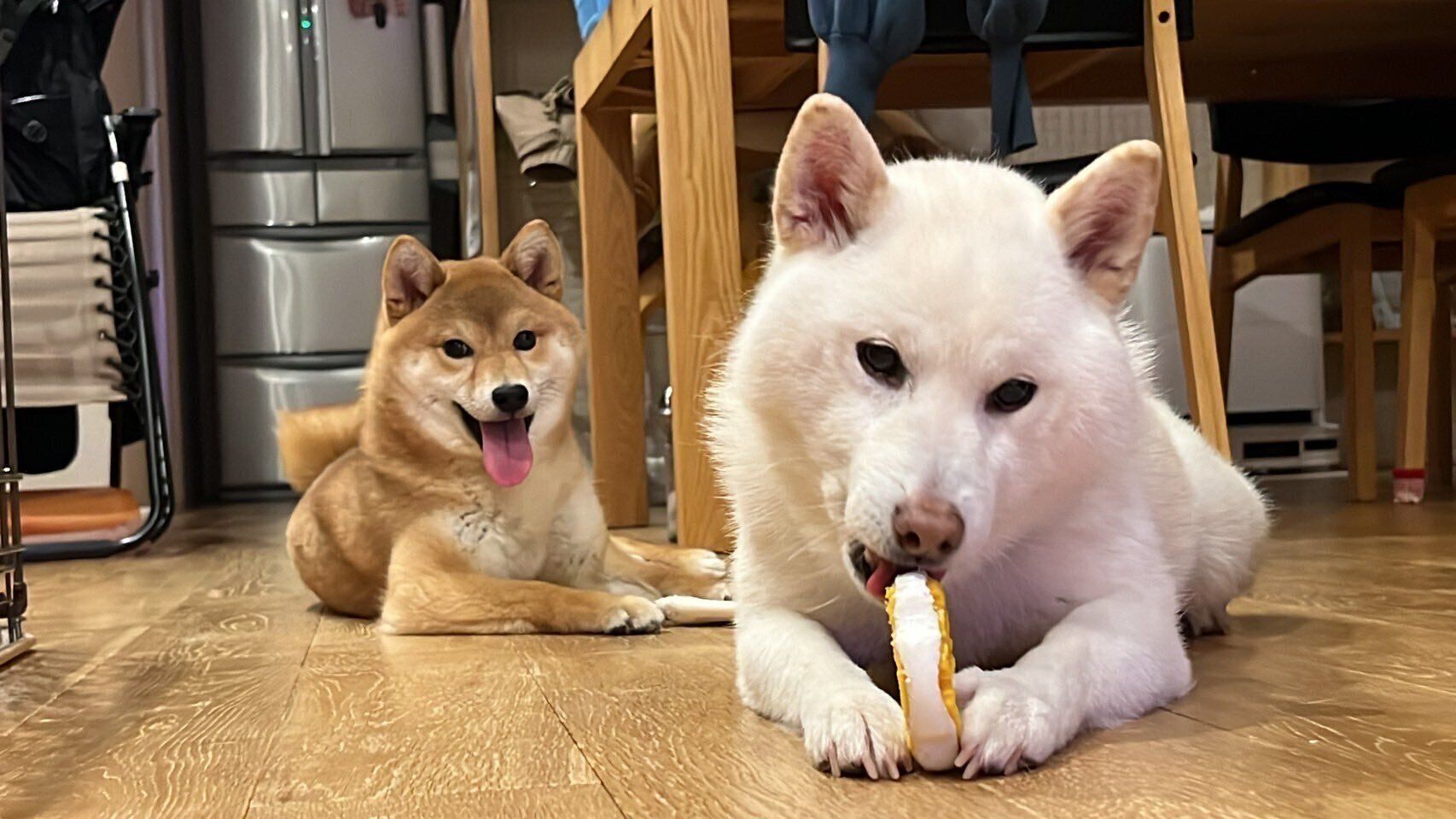 しらたまちゃんとコッペパンちゃん