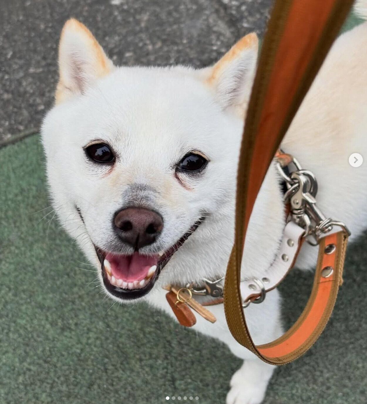 楽しそうなぷりんちゃん