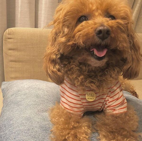 笑顔のむぎちゃん