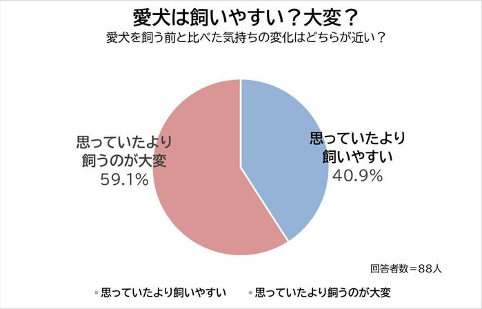 愛犬は飼いやすい?大変?