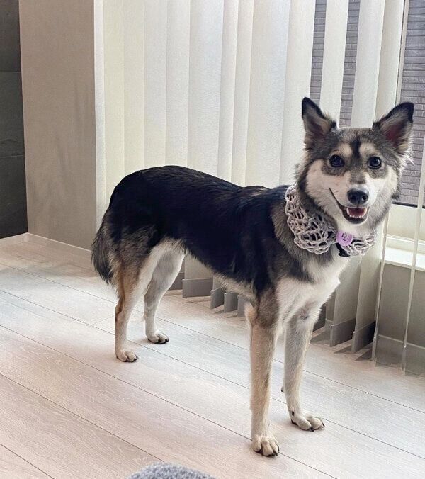 笑顔が可愛いララちゃん