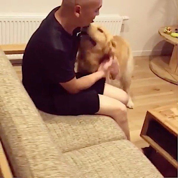 おとーさんが好きなゴールデン・レトリーバー