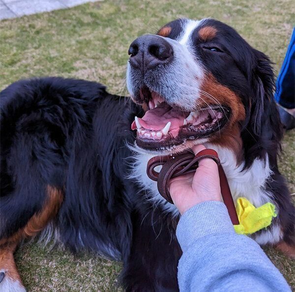 笑顔のまさおくん