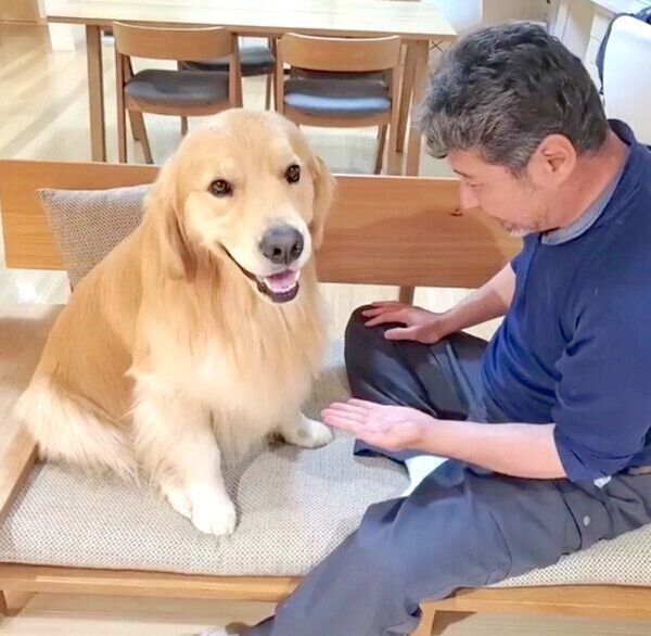 パパさんのことが大好きなアランくん