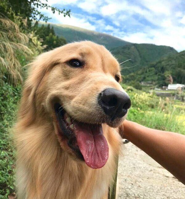 笑顔の小夏ちゃん