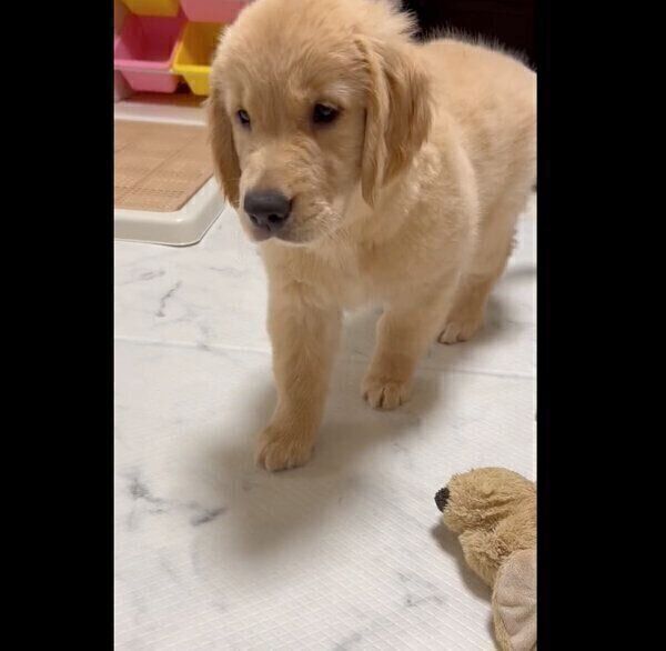 狙いを定めるつゆちゃん