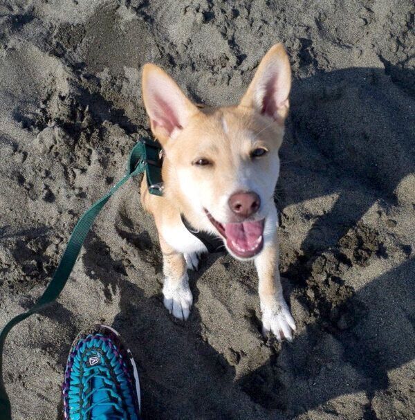 笑顔のタップくん