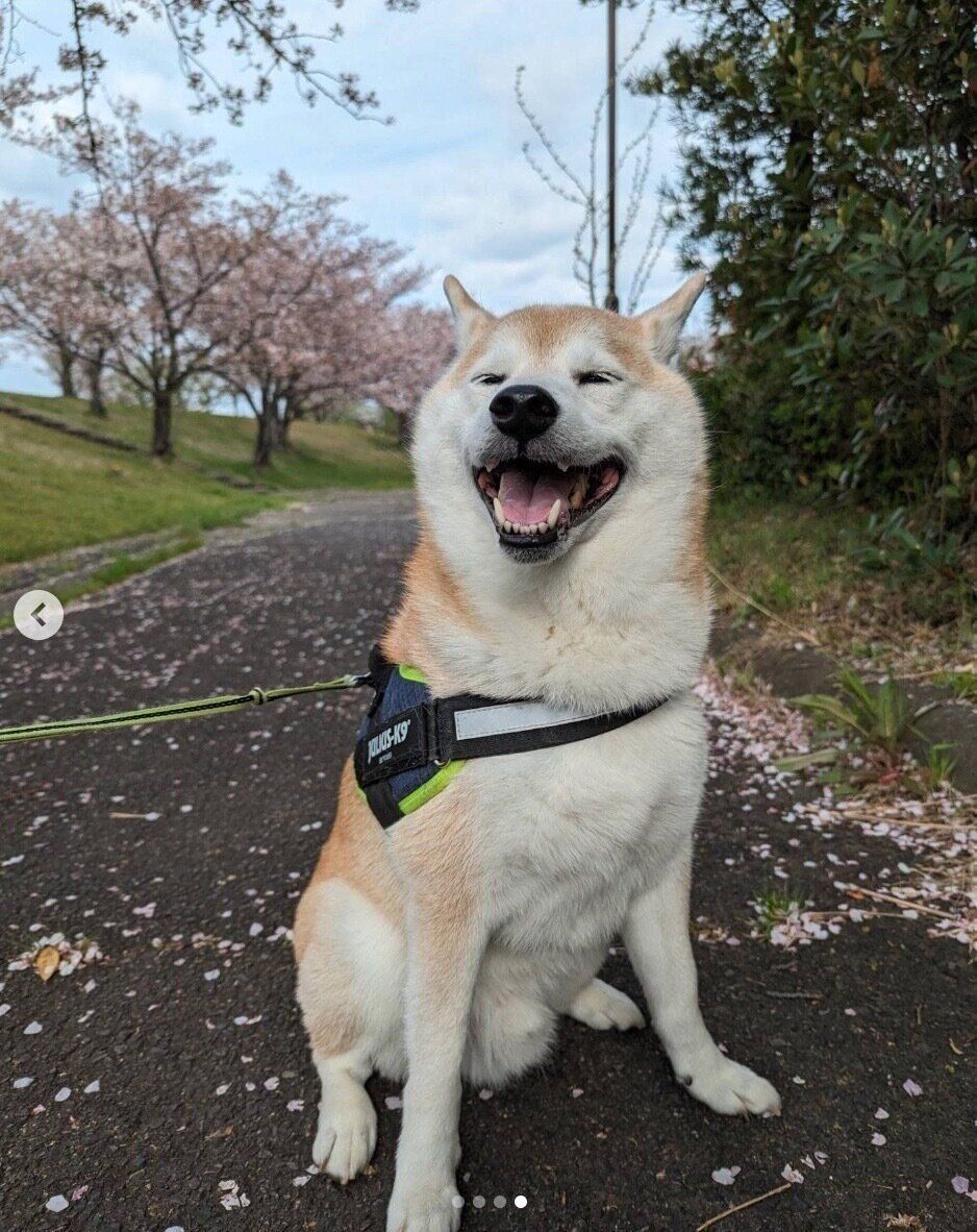 楽しそうなタロウくん