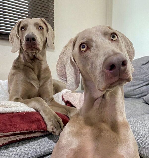 仲良しなルピくんとロアくん