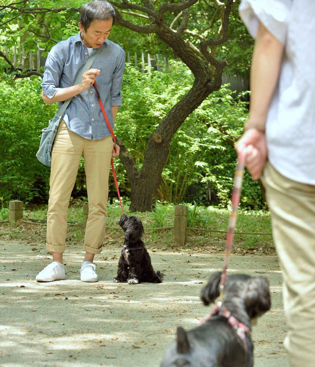 プロ直伝 愛犬の吠えをその場で止められるスゴワザって いぬのきもちweb Magazine プロ直伝 愛犬の吠えをその場で止められるスゴワザって いぬのきもちweb Magazine