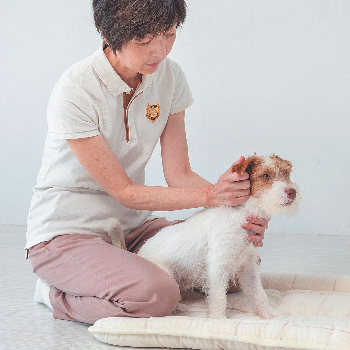 撮影／伊東武志