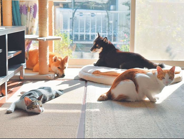 リビングに全員集合!