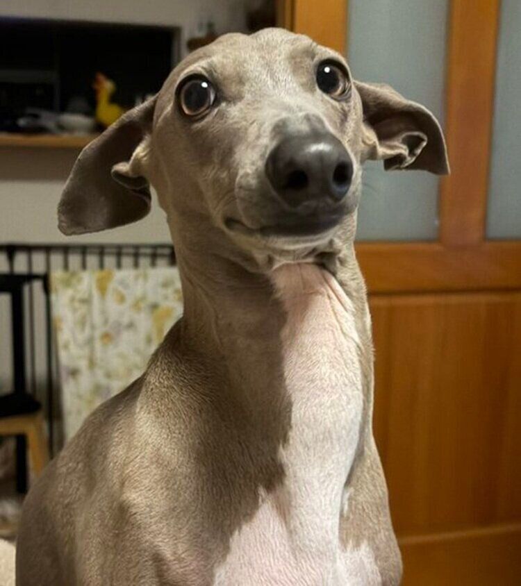 笑顔のプットくん