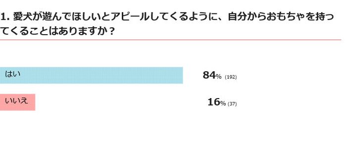 愛犬は自分からおもちゃを持ってくる?