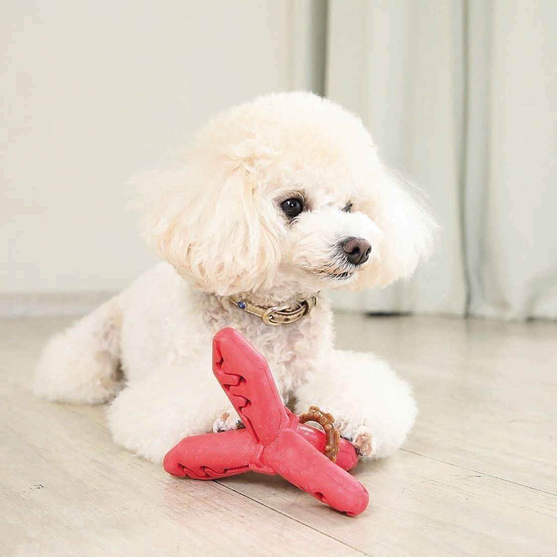 撮影／尾﨑たまき