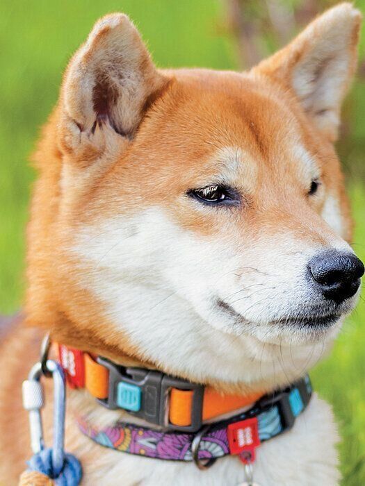 集中しているときの耳の形