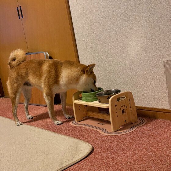 朝ゴハンを食べるコウくん