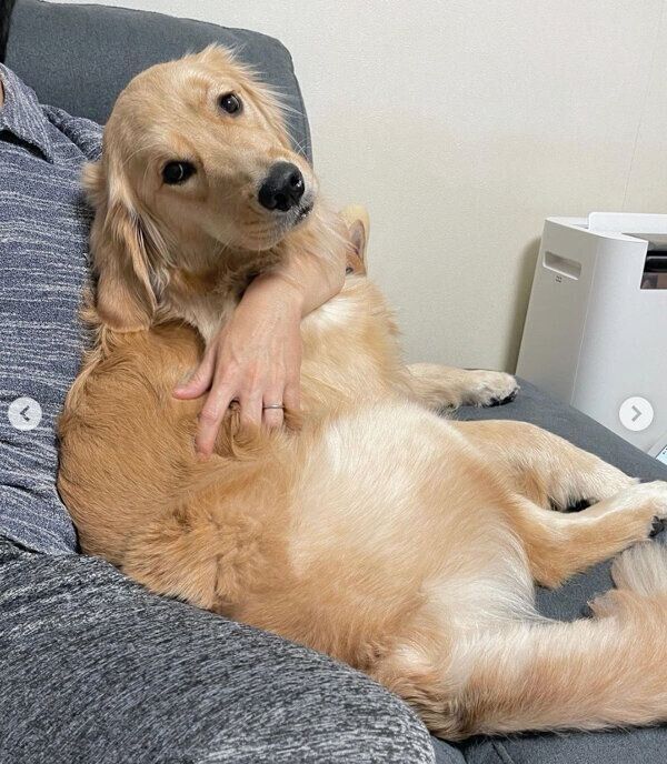 パパさんにベッタリなおからちゃん