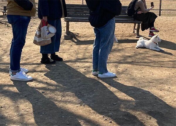 ほかの飼い主さんに混ざる雪海ちゃん