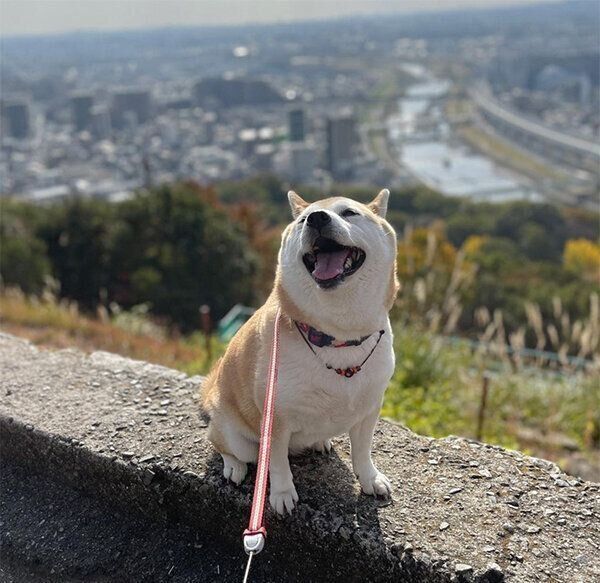 笑顔のこなつちゃん