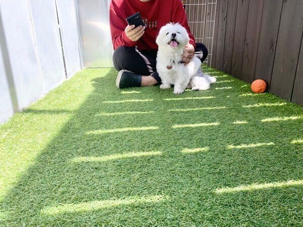 パパさんにくっつくわむうくん