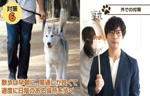 いぬのきもち塾_【犬の熱中症対策03】
