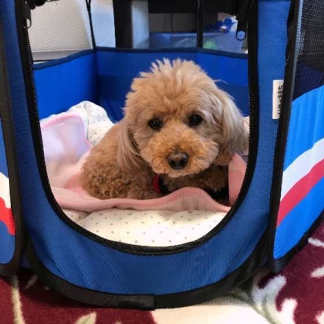 Hspli5f9tcxtmm Hspli5f9tcxtmm