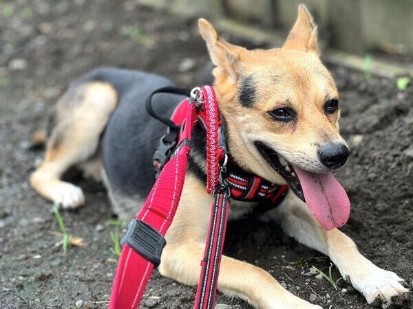 楽しそうなこのちゃん。