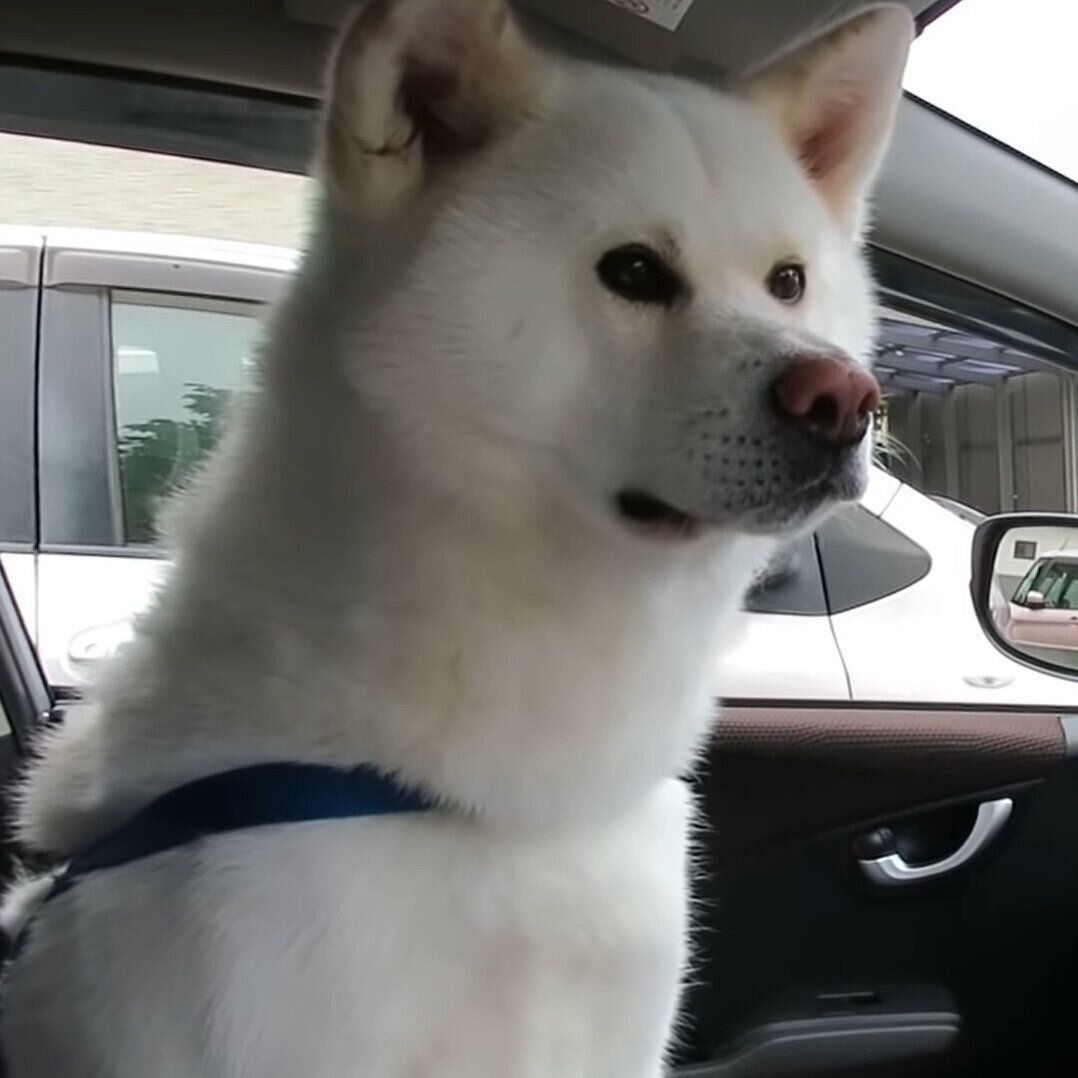 そわそわするゆうき君