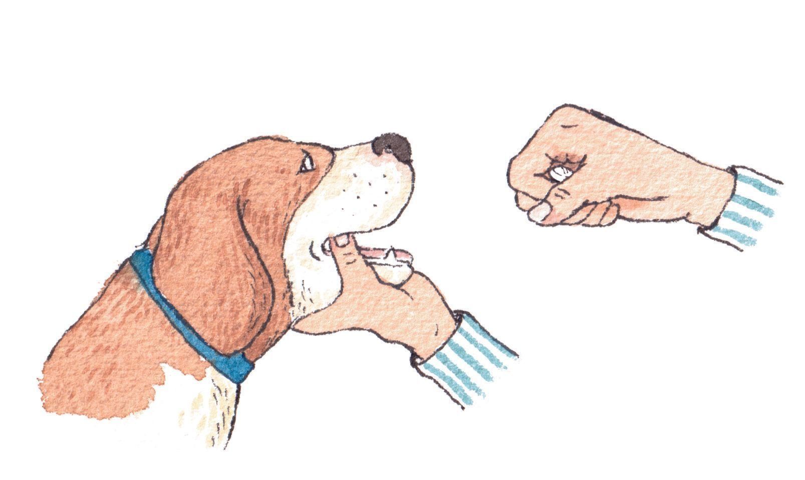 イラスト／フジマツミキ