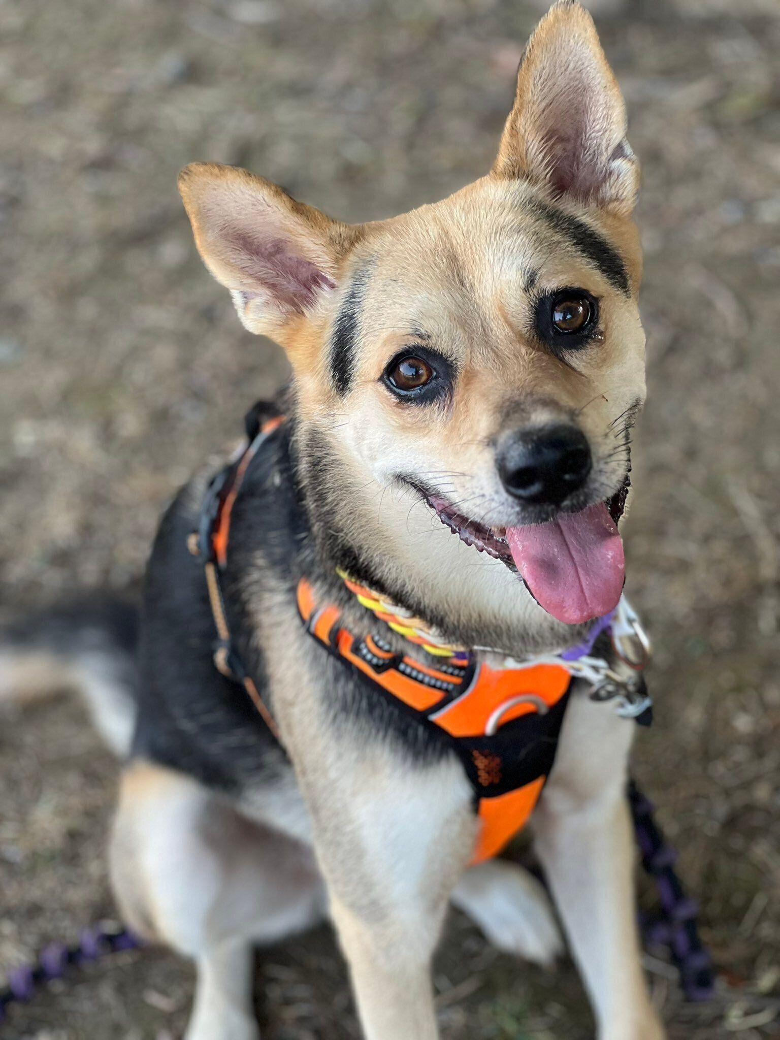 笑顔が可愛いこのちゃん。