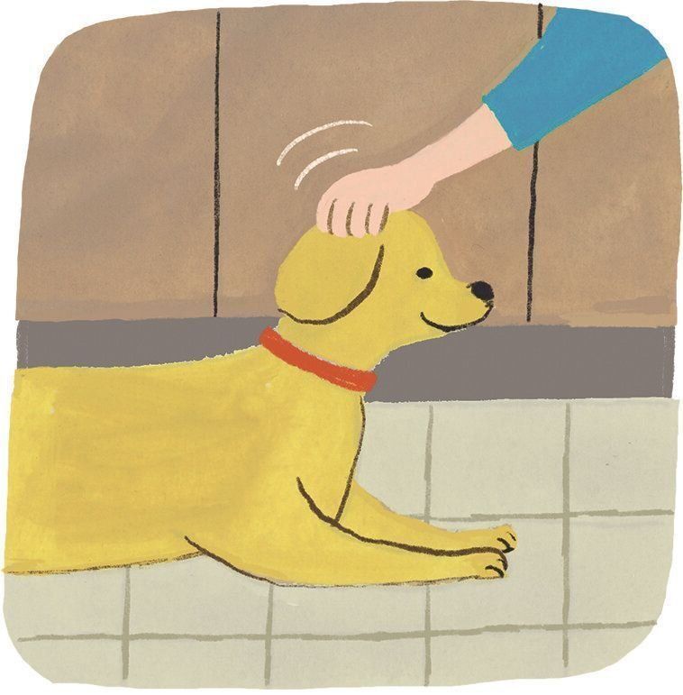 イラスト／macco