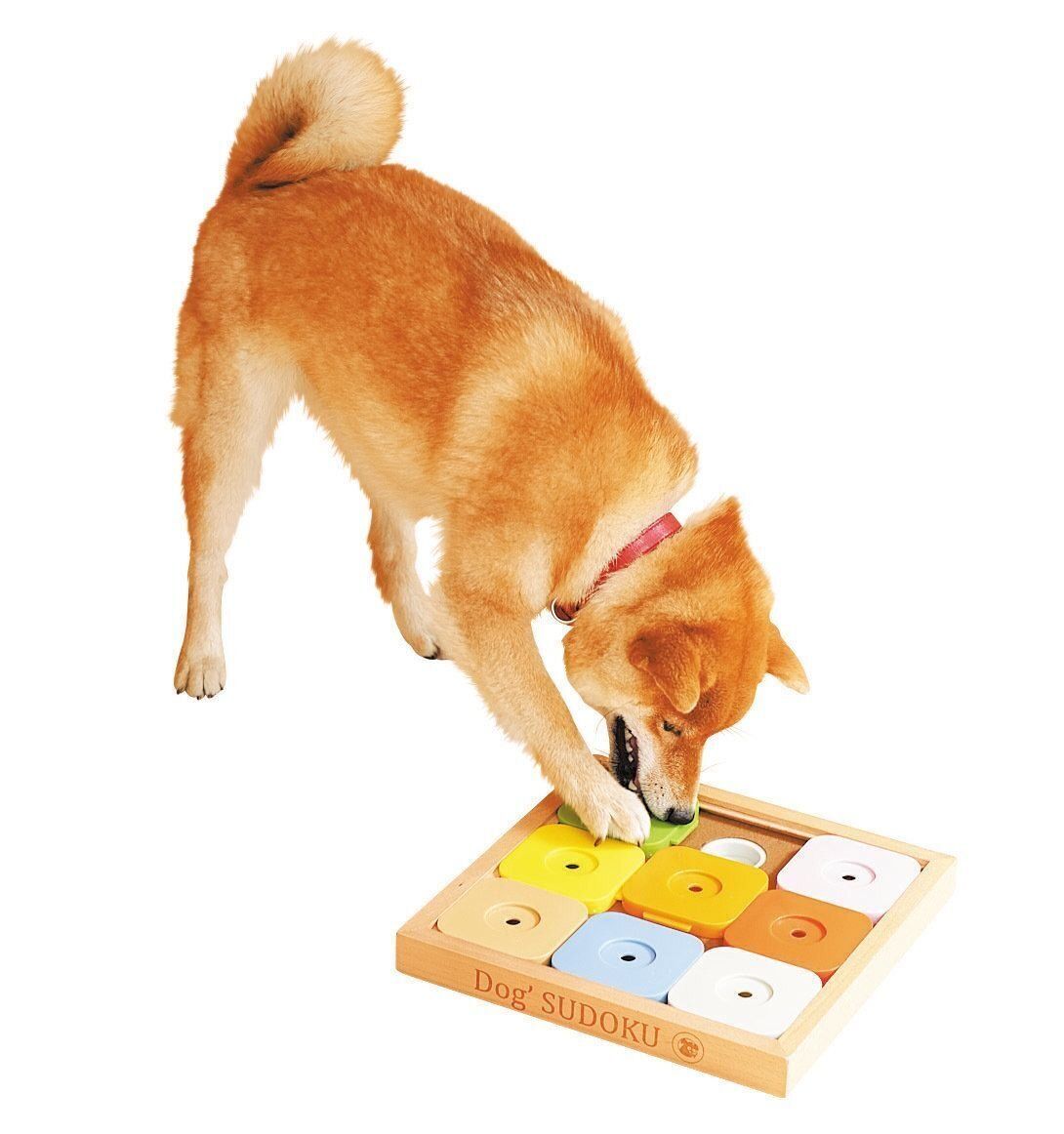 撮影／殿村忠博