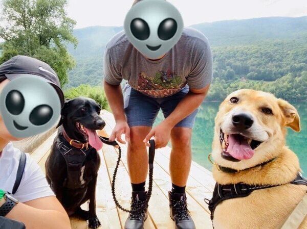 お出かけを楽しむ飼い主さんご家族