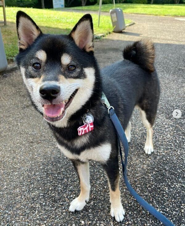 笑顔が可愛いカイトくん