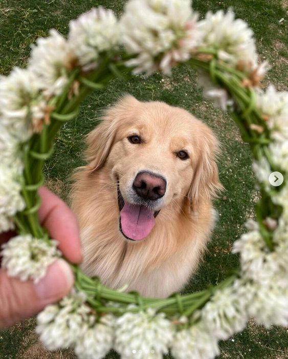 笑顔が可愛いミィちゃん