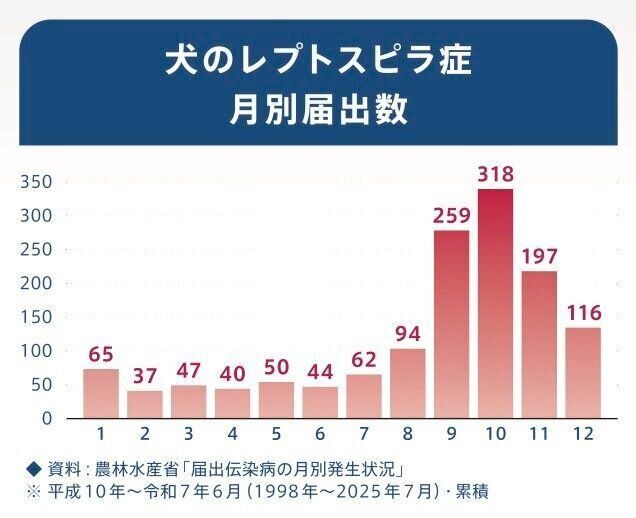 犬のレプトスピラ症月別届出数