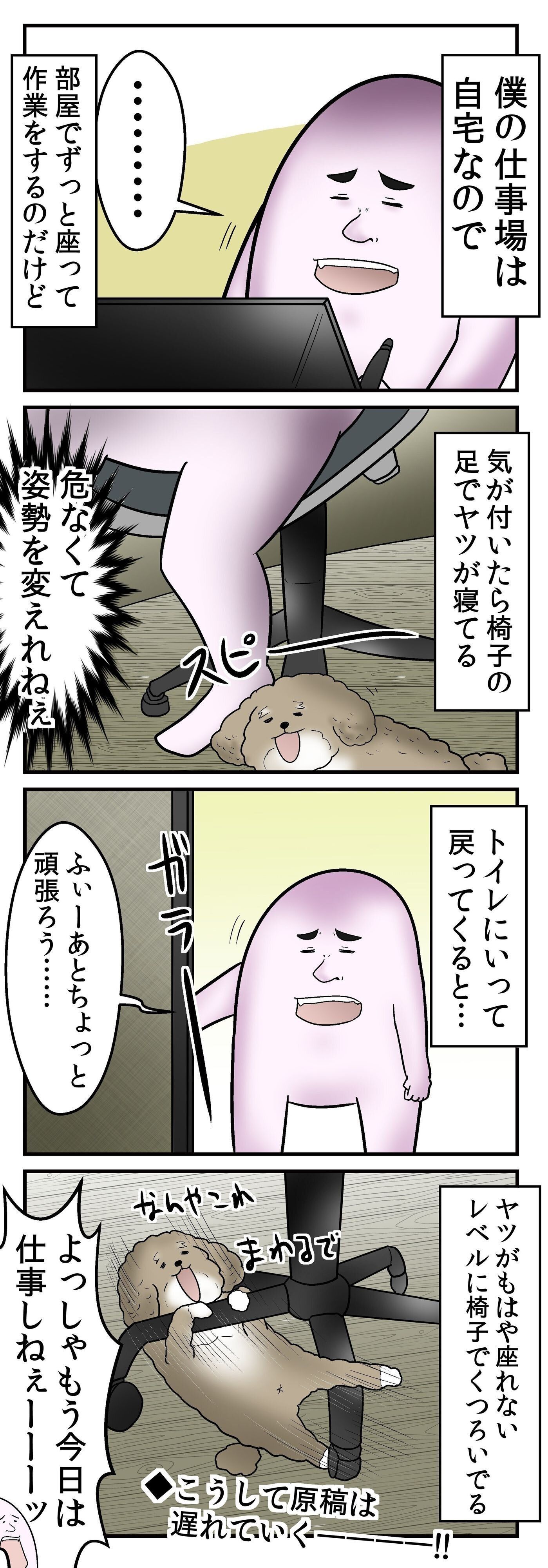 気づいたら足元にいる やしろあずきときなこの日常 Vol 12 いぬのきもちweb Magazine 気づいたら足元にいる やしろあずきときなこの日常 Vol 12 いぬのきもちweb Magazine