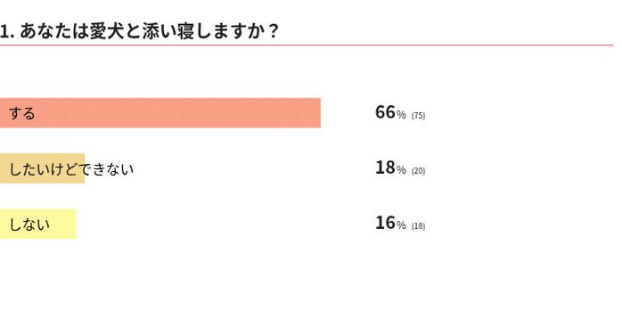 愛犬と添い寝しますか?